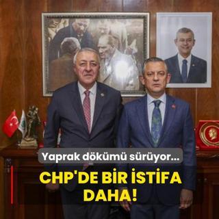 Yaprak dkm sryor... CHP'de bir istifa daha!