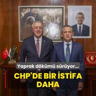 Yaprak dkm sryor... CHP'de bir istifa daha!