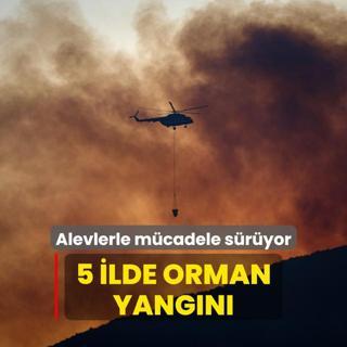 5 ilde orman yangn... Alevlerle mcadele sryor