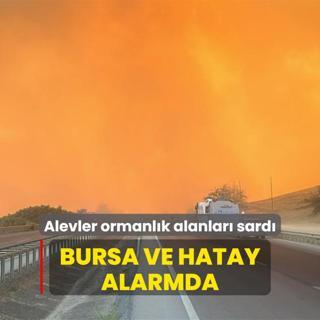 Bursa ve Hatay alarmda! Alevler ormanlk alanlar sard