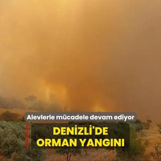 Denizli'de orman yangn... Alevlerle mcadele devam ediyor