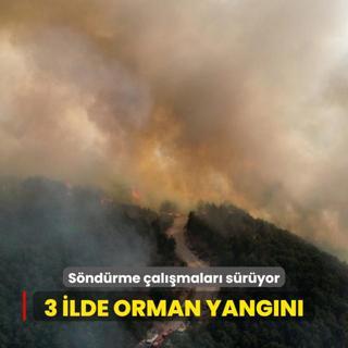 3 ilde orman yangn... Sndrme almalar sryor