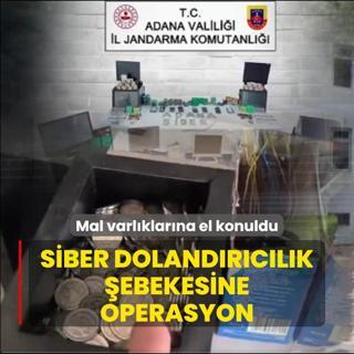 Siber dolandrclk ebekesine operasyon! 225 milyon TL'lik mal varlna el kondu