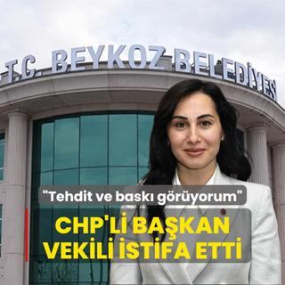 Tehdit ve bask gryorum diyerek ayrld... CHP'li Bakan Vekili istifa etti