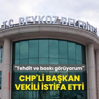 Tehdit ve bask gryorum diyerek ayrld... CHP'li Bakan Vekili istifa etti