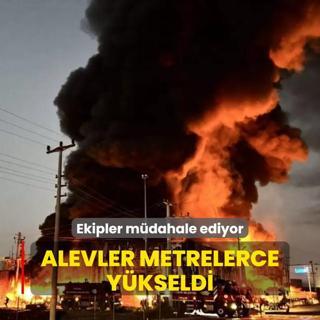 Alevler metrelerce ykseldi! Kocaeli'de yangna mdahale ediliyor