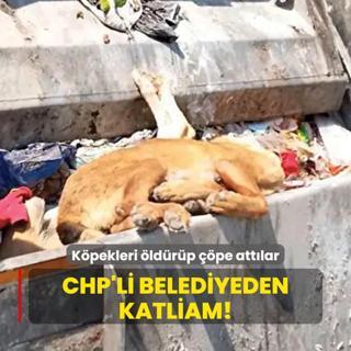 Kpekleri ldrp pe attlar