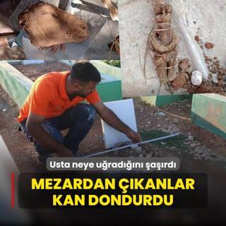 Mezardan kanlar kan dondurdu! Usta neye uradn ard