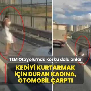 TEM Otoyolu'nda korku dolu anlar! Kediyi kurtarmak iin duran kadna, otomobil arpt