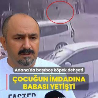 Adana'da babo kpek deheti: 3 yandaki ocuun imdadna babas yetiti