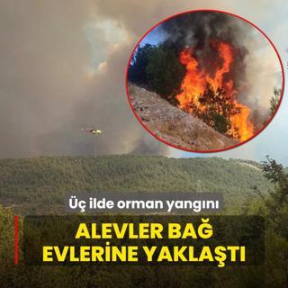  ilde orman yangn! Alevler ba evlerine yaklat