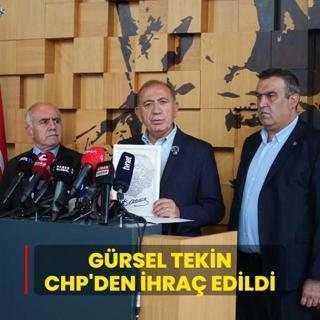 Grsel Tekin CHP'den ihra edildi