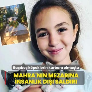 Babo kpeklerin kurban olmutu: Mahra'nn mezarna insanlk d saldr
