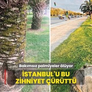stanbul'u bu zihniyet rtt!