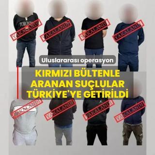 Krmz bltenle uluslararas seviyede aranyorlard! Trkiye'ye getirildiler