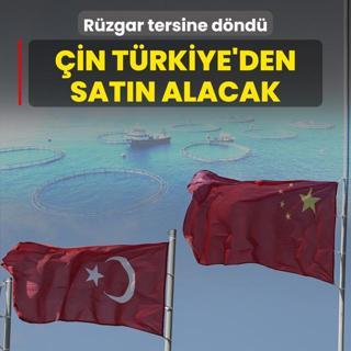 Rzgar tersine dnd! in artk Trkiye'den satn alacak