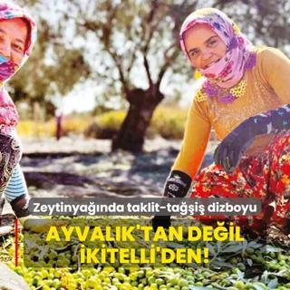 Ayvalk'tan deil kitelli'den!