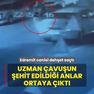 Edremit canisi dehet sat... Uzman avuun ehit edildii anlar ortaya kt