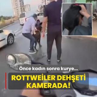 Rottweiler deheti kamerada! nce kadn sonra kurye...