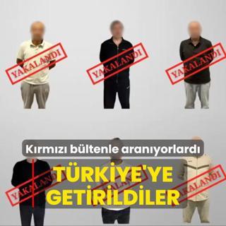 Krmz bltenle aranyorlard... Trkiye'ye getirildiler