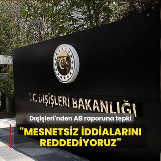 Dileri'nden AB raporuna tepki... Mesnetsiz iddialarn reddediyoruz