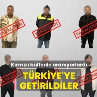Krmz bltenle aranyorlard... Trkiye'ye getirildiler