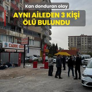 Mardin'de kan donduran olay! Ayn aileden 3 kii l halde bulundu