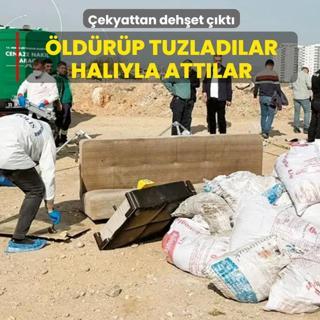 ldrp tuzladlar halyla attlar
