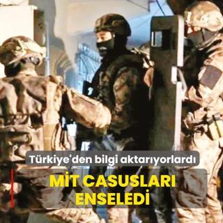 MT, casuslar enseledi