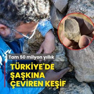 Trkiye'de akna eviren keif: Tam 50 milyon yllk