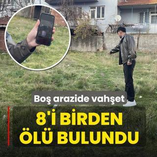 Bo arazide vahet! 8'i birden l bulundu