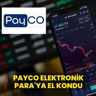PAYCO Elektronik Para'ya el kondu