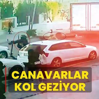Canavarlar kol geziyor