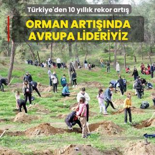 Orman artnda Avrupa lideriyiz