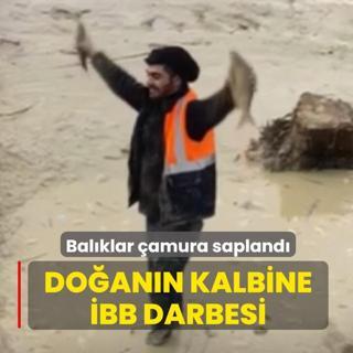 Doann kalbine BB darbesi: Su ekildi, balklar amura sapland