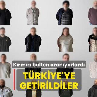 Krmz blten aranyorlard: Trkiye'ye getirildiler