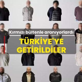 Krmz bltenle aranyorlard: Trkiye'ye getirildiler