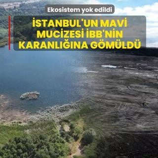 stanbul'un mavi mucizesi BB'nin karanlna gmld! Ekosistem yok edildi