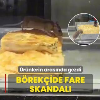 B�rek�ide fare skandal�: Tezgahtaki �r�nlerin aras�nda gezdi