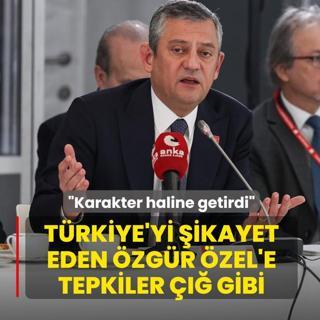 T�rkiye'yi �ikayet eden �zg�r �zel'e tepkiler ��� gibi: Karakter haline getirdi