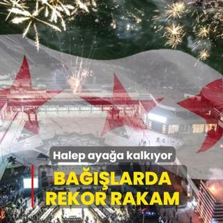 Halep aya�a kalk�yor: Ba��� kampanyas�nda rekor rakam