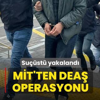 M�T'ten DEA� operasyonu! Yeni y�lda eylem haz�rl��� yaparken yakaland�