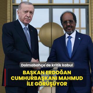 Dolmabah�e'de kritik kabul: Ba�kan Erdo�an Cumhurba�kan� Mahmud ile g�r���yor