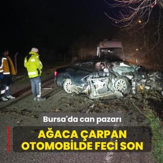 Bursa'da can pazar�! A�aca �arpan otomobilde feci son