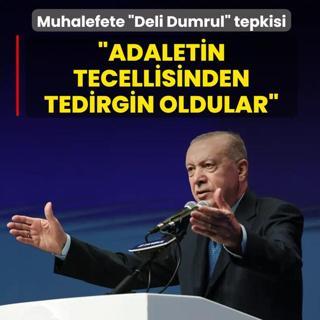 Ba�kan Erdo�an'dan muhalefete �Deli Dumrul� tepkisi: Adaletin tecellisinden tedirginler
