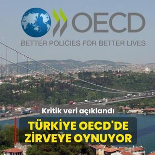 Kritik veri a��kland�: T�rkiye OECD'de zirveye oynuyor