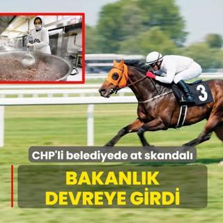 Kavurma olan at�n sahibine ceza