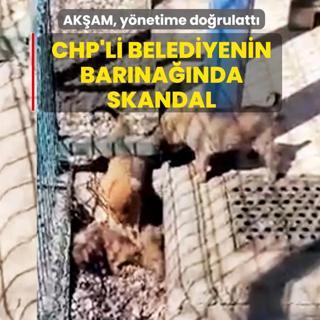 CHP'li belediyenin bar�na��nda skandal! Y�netim, o g�r�nt�leri do�rulad�