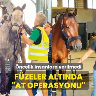 F�zeler alt�nda �at operasyonu�... �ncelik insanlara verilmedi