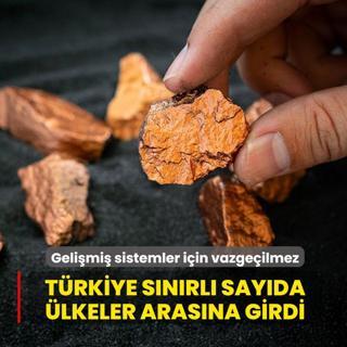 Geli�mi� sistemler i�in vazge�ilmez! T�rkiye s�n�rl� say�da �lkeler aras�na girdi